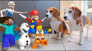 Animations in REAL LIFE vs Funny Dogs  Mario - Olaf - LEGO and Many More
