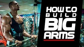 HOW TO BUILD BIG ARMS  Simeon Panda