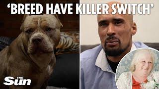 Tearful XL bully owner Ashley Warren BEGS for breed to be ‘wiped out’ after they killed his mother