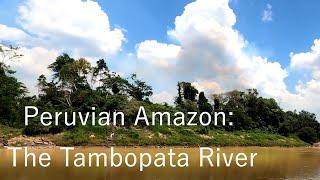 OutBirding - Peruvian Amazon The Tambopata River Full Episode