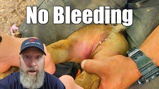 Bloodless Piglet Castration @UncleTimsFarm