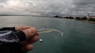 Fishing with DUO Versa Shad 3 Adriatic Sea Crikvenica