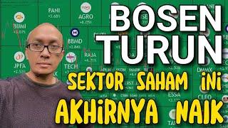 Sektor sektor saham ini naik ketika ada sektor saham lain yang turun bagaimana kelanjutannya