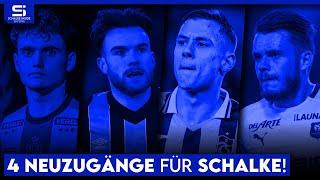 Verstärkungen auf dem Markt Diese vereinslosen Spieler können Schalke sofort helfen  S04 Analyse