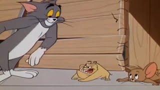 Tom and Jerry  Jerry Got Strong Guard Dog