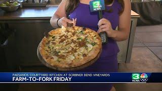 Farm-to-Fork Friday Pear wood-fire pizza at Scribner Bend Vineyards courtyard