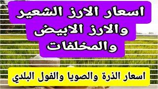 اسعار الارز الشعير اليوم اسعار الارز الابيض ومخلفات الارز واسعار الذرة والصويا اليوم