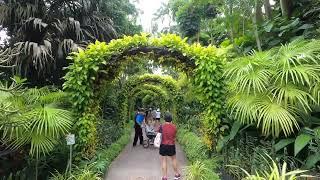 Singapore Botanic Gardens