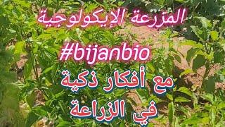 المزرعة الإيكولوجية #bijanbio مع أفكار ذكية في الزراعة.
