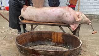 Pig Slaughter - It takes seven people to kill a pig