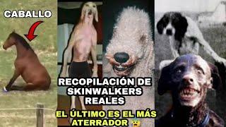 El Perro que come cereal con cuchara y reza por las Noches Skinwalker y perros humanoides #perros