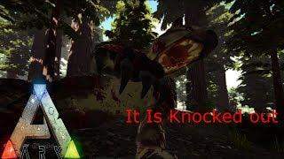 Ark Strange glitch