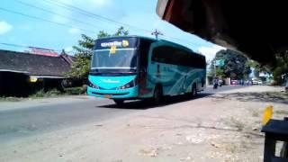 Klakson telolet po Haryanto Cepu area