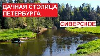 Поселок #Сиверский Лялин Луг река #Оредеж май 2022  Дачная столица Петербурга  #Гатчина