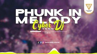 Phunk In Melody - CYBER DJ TEAM Official Audio Visualizer