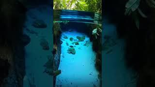 Nature is beautiful  #nature #viral #short #satisfying #travel