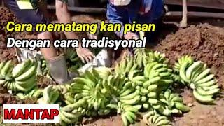 Cara mematangkan pisang dengan  alami @co2pelabuhanratu