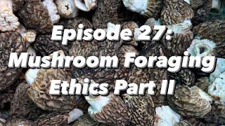 Fascinated By Fungi Podcast Episode 27 Mushroom Foraging Ethics Part II