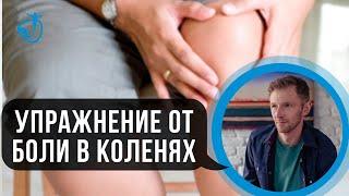 БОЛЯТ КОЛЕНИ - ЧТО ДЕЛАТЬ. Упражнения которые снимут боль в коленях  Владимир Животов