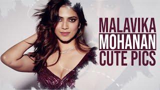 Malavika Mohanan Cute Pics l Malavika Mohanan l Film Actress l Film Gossips l Malavika Mohanan Hot