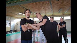 2019 Lev Ivanov Germany-France seminar.Systema Ryabko. 2 Day