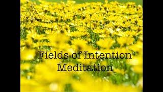 Spirit Child of the Moon - Fields of Intention Meditation