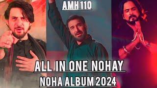 All In One Nohay Albums 2024  Nadeem Sarwar   Farhan Ali waris  Irfan haider  all nohay casete