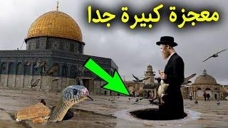 لن تصدق ماذا وجدوا اليهود تحت المسجد الاقصى في فلسطين؟ وجدوا معجزة كبيرة تشهد أن القرأن حق