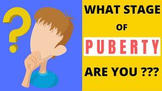 These are the Signs you have hit Puberty  Puberty Stages for Girls and Boys