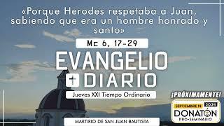 Evangelio Jueves 29 de Agosto del 2024 Padre Manuel Penagos