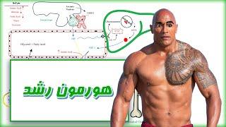 هورمون رشد در بیوشیمی  بیوشیمی و متابولیسم انسان و ورزش  Growth Hormone