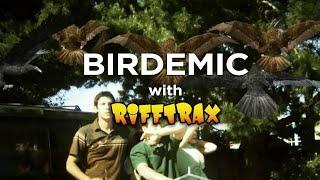 RiffTrax Birdemic - Shock and Terror Full Movie