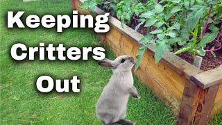 How to Keep Garden Pests and Other Critters Out of Your Garden