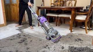 Dyson DC14 Animal vacuum cleaner - Performance Testing