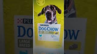 читаем состав корма Dog chow. обзор корма