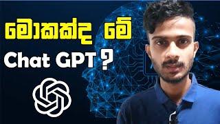 What is Chat GPT ?  How to Use Chat GPT ?  Chat GPT Explained in Sinhala