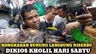 BONGKARAN BURUNG TERBARU LANGSUNG DISERBU KICAU MANIA DIKIOS KHOLIL PASAR BURUNG PRAMUKA