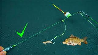 Many dont know  Making RIG Fishing one a Hook For Tilapia Fish 2024