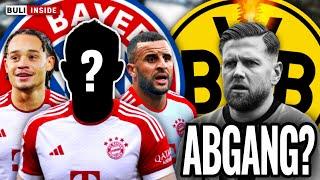 3 WELTSTARS zum FC BAYERN FÜLLKRUG vor BVB-AUS? TUCHEL-Zukunft FIX?