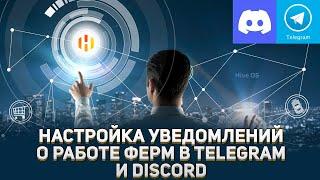 Hive OS . Настройка уведомлений о работе вашей майнинг фермы в telegram и discord