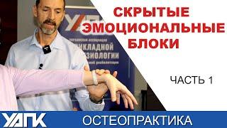 Как найти скрытые Эмоциональные проблемы? Часть 1 Вячеслав Пичугин