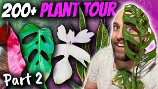 200+ Plant Tour  Part 2  Variegation Galore