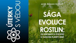 Sága evoluce rostlin od skromných počátků k vládcům planety Země