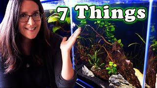 7 Things You NEED to Know Before Buying a Nano Aquarium