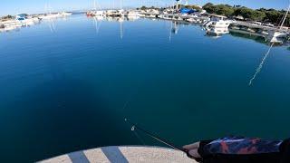 Adriatic Sea Cikvenica fishing in spring on topwater and minnow lures