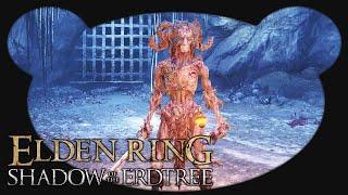 Ich fühl mich so komisch... - #20 Elden Ring Shadow of the Erdtree Gameplay Deutsch