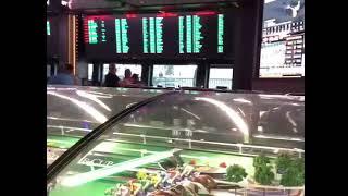 I won in Vegas Fortune Cup horse racing Las Vegas Cosmopolitan Hotel.