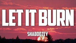 Shaboozey - Let It Burn Lyrics