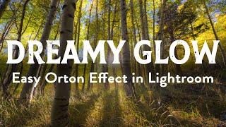 Create a Magic Dreamy Glow Orton Effect in Lightroom. NO PHOTOSHOP REQUIRED.