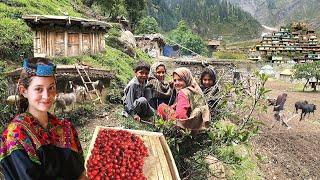 Unseen Pakistani Village Life at Top of Coldest Mountain  Ancient Culture  Stunning Pakistan